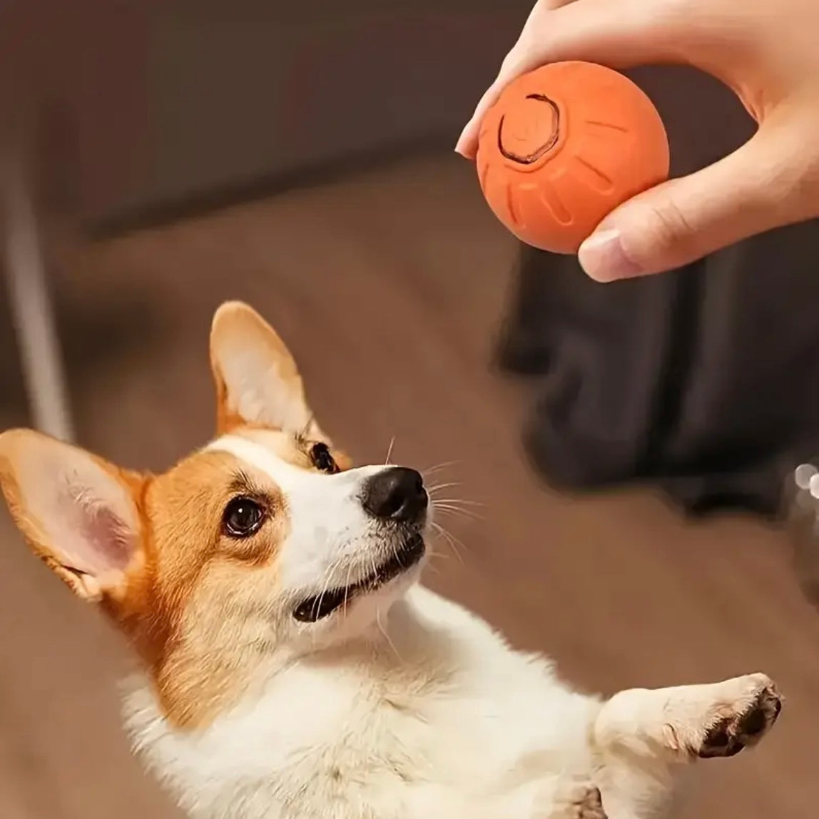 Jumping Ball